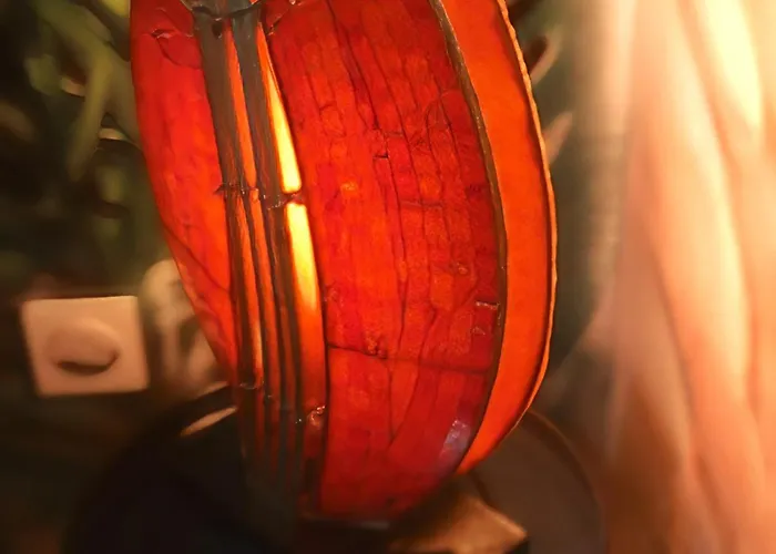 Апартаменты Bleu Sidi Bou Said A Ferrand